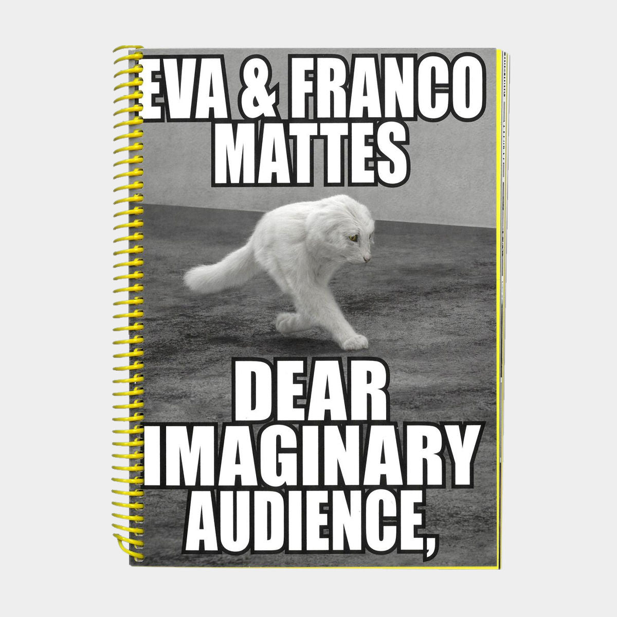 Eva & Franco Mattes. Dear Imaginary Audience (Deutsch)
