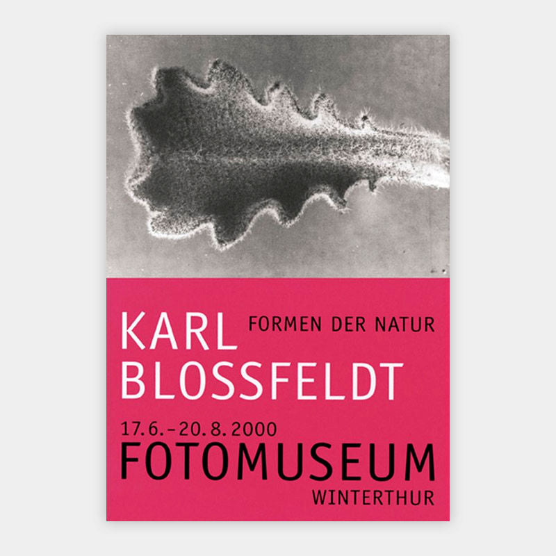 Karl Blossfeldt – Formen der Natur