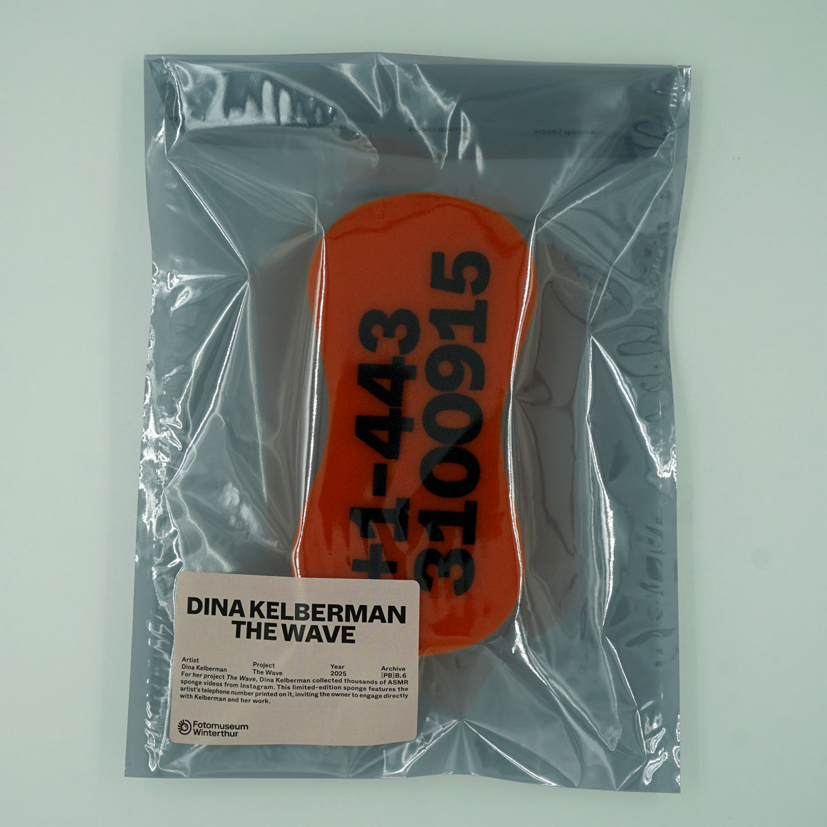 Schwamm von Dina Kelberman